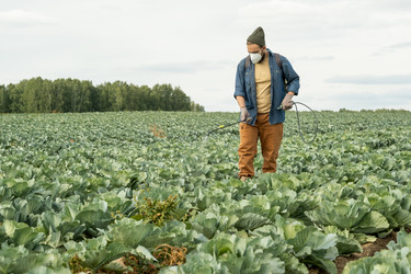 Similar image 20776190