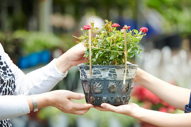 Similar image 20765992