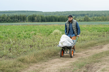 Similar image 20782914