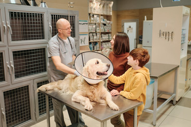 Similar image 20768731