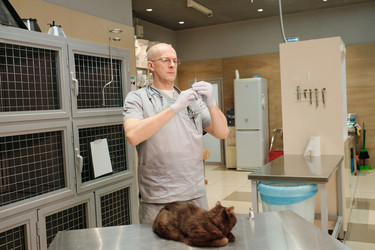 Similar image 20770571