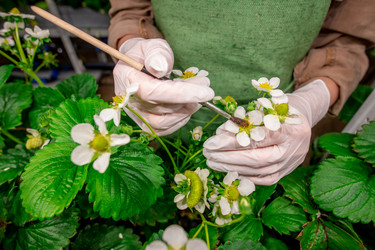 Similar image 20767884