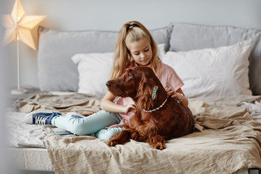 Similar image 20779225