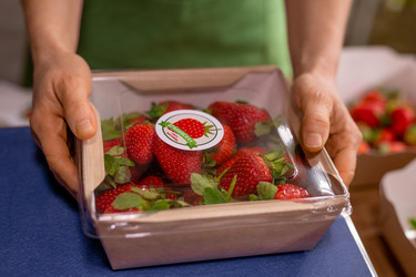 Similar image 20772502