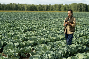 Similar image 20755480