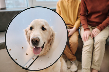 Similar image 20759525