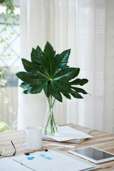 Similar image 20759606