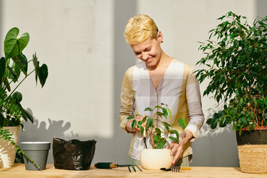 Similar image 20771786