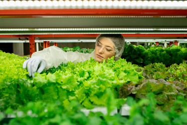 Similar image 20754770