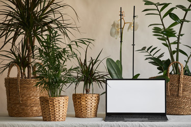 Similar image 20773809