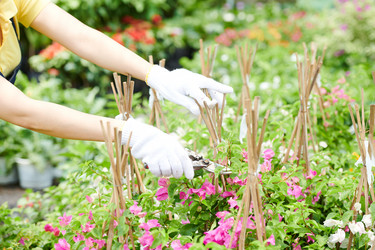 Similar image 20756916