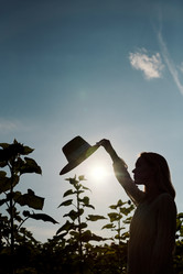 Similar image 20777016