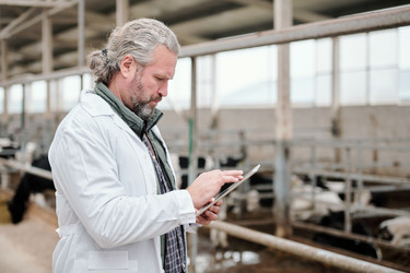 Similar image 20763009