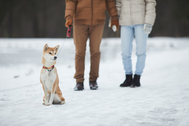 Similar image 20771875