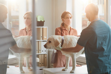 Similar image 20758094