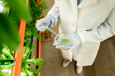 Similar image 20768926