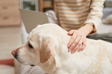 Similar image 20765176