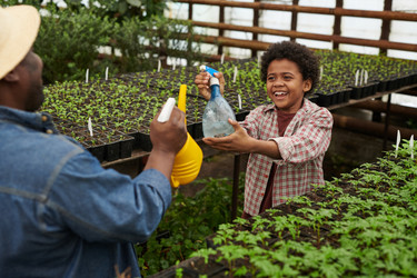 Similar image 20777921