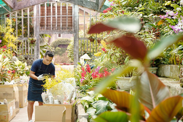 Similar image 20776707