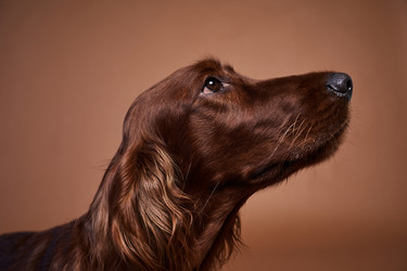 Similar image 20780739