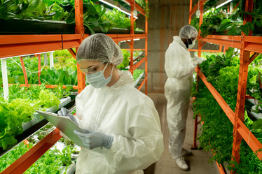 Similar image 20760613