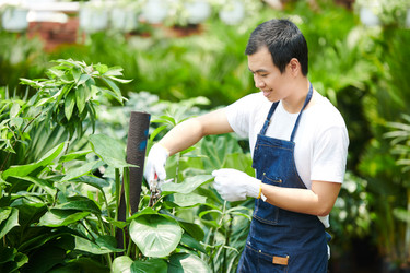 Similar image 20773485