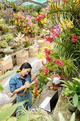 Similar image 20775251