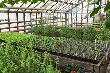 Similar image 20767777