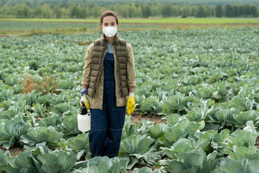 Similar image 20779593