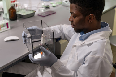 Similar image 20767933