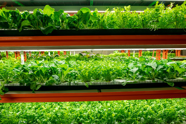 Similar image 20754661