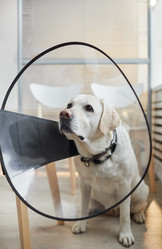 Similar image 20761837