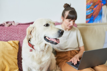 Similar image 20764460