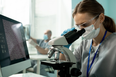 Similar image 20768686