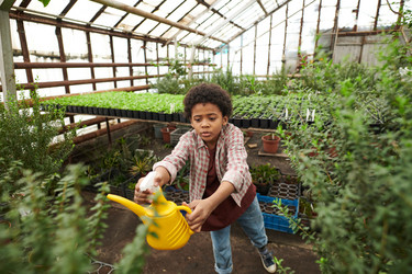 Similar image 20763484