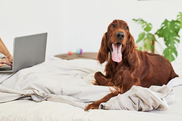 Similar image 20786060