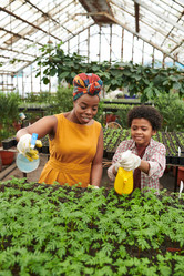 Similar image 20754421