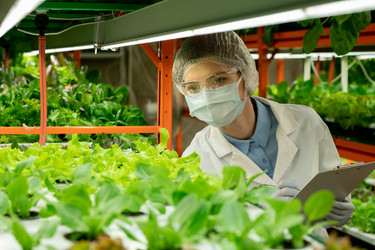 Similar image 20765442