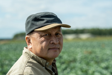 Similar image 20787842