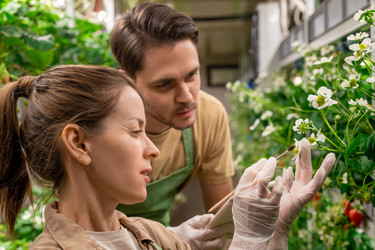 Similar image 20772161