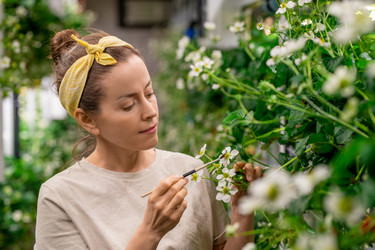 Similar image 20762922