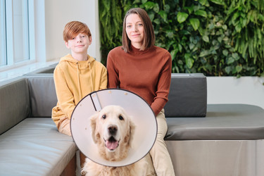 Similar image 20757624