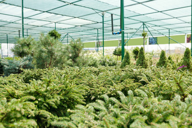 Similar image 20762758