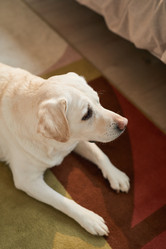 Similar image 20773544