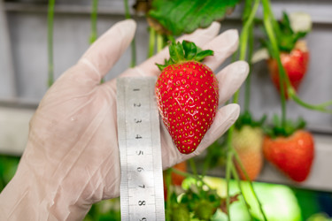 Similar image 20770669