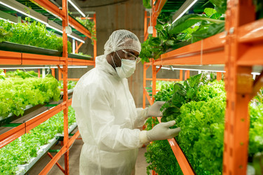 Similar image 20753839