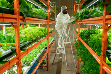 Similar image 20761701