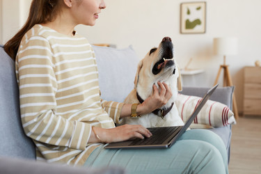 Similar image 20762940