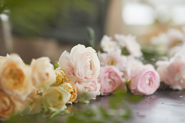 Similar image 20766784