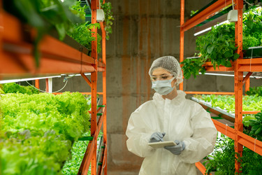 Similar image 20773767